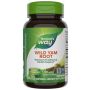 Wild Yam