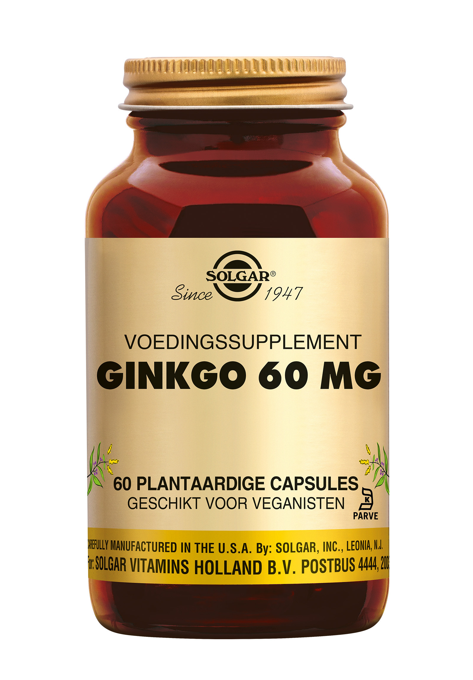 Solgar Ginkgo 60 mg