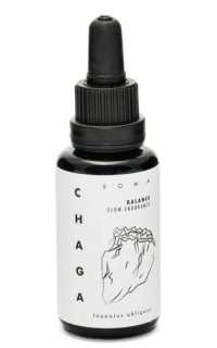 KAAPA Mushrooms Chaga Paddenstoelen Extract Bio 30 ml biologisch