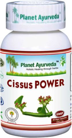 Planet Ayurveda Cissus Power 60 vegetarische capsules