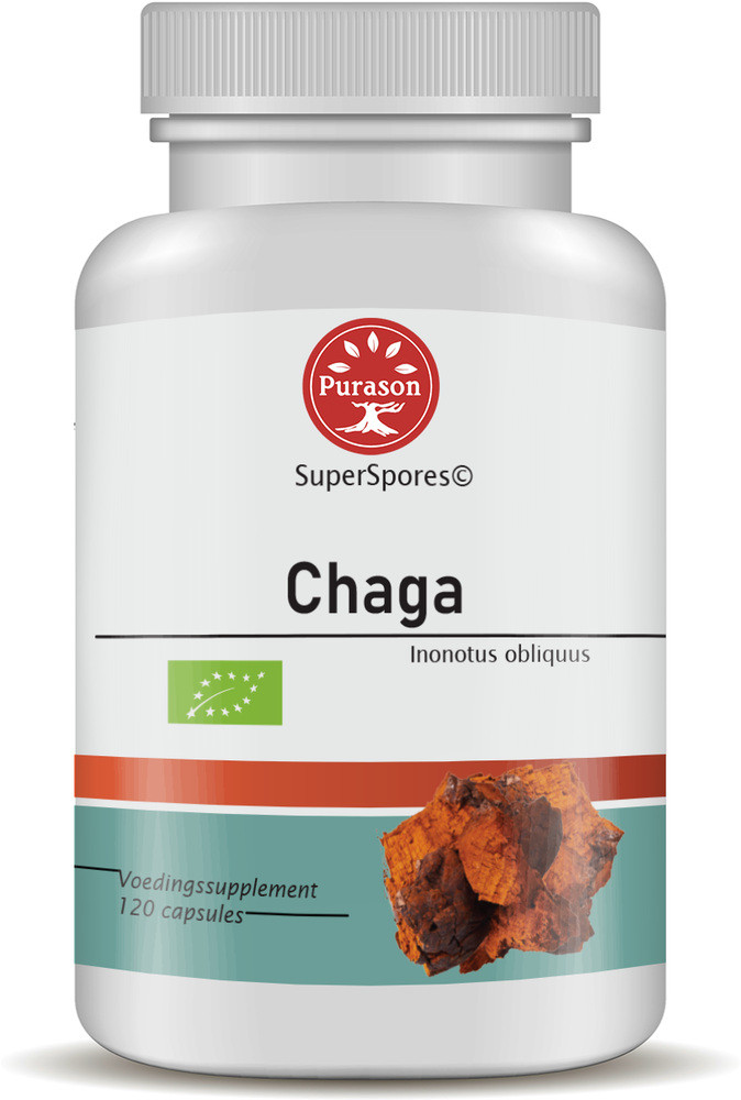 Purason Chaga Superspores© Extract Bio 120 capsules biologisch