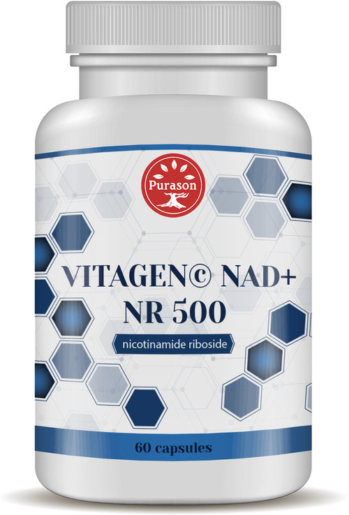 Purason VitaGen© NAD+ NR 500 60 capsules