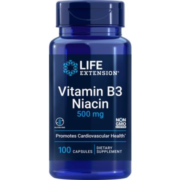 Life Extension Vitamine B3 Niacin 500 mg