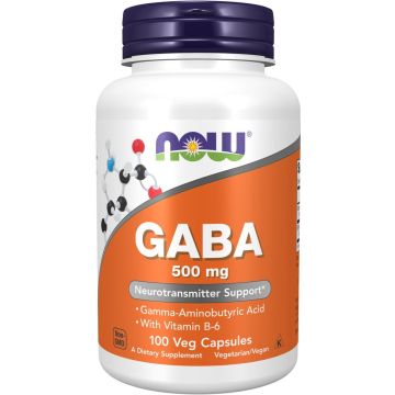 NOW Foods GABA 500 mg