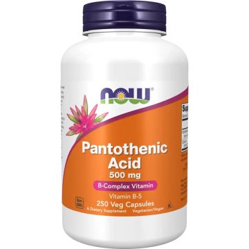 NOW Foods Pantothenic Acid 500 mg 250 capsules