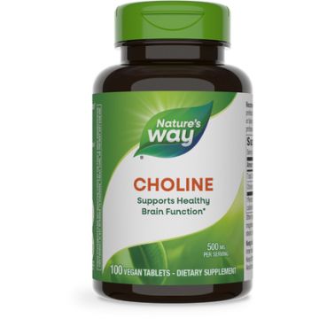 Nature's Way Cholin Bitartrat (Choline) 100 tabletten