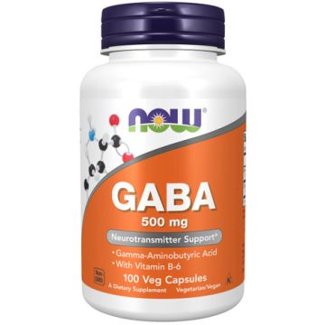 NOW Foods GABA 500 mg