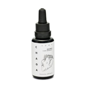 KAAPA Mushrooms Chaga Paddenstoelen Extract Bio 30 ml biologisch