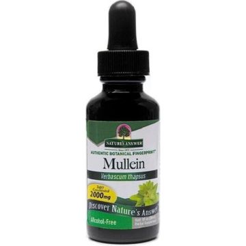 Nature's Answer Koningskaars (Mulein) Extract 30 ml