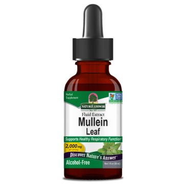 Nature's Answer Koningskaars (Mulein) Extract 30 ml