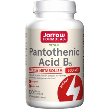 Jarrow Formulas Vitamin B5 Pantothenic Acid 500 100 capsules