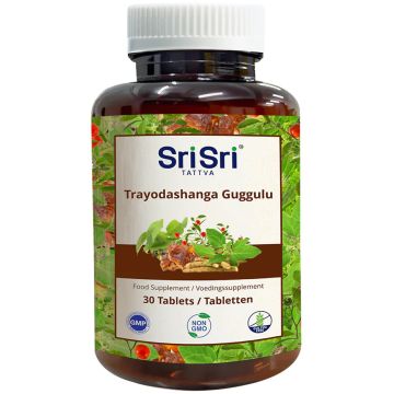 Sri Sri Tattva Trayodashanga Guggulu 30 tabletten