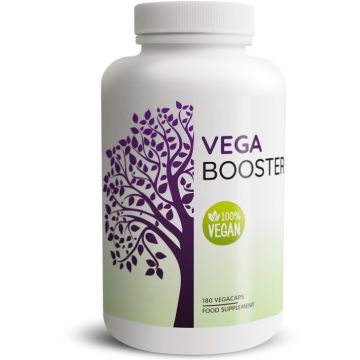 Vega Booster