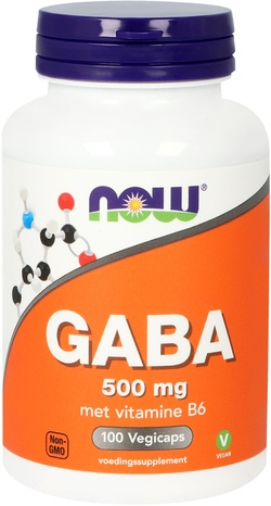 NOW Foods GABA 500 mg