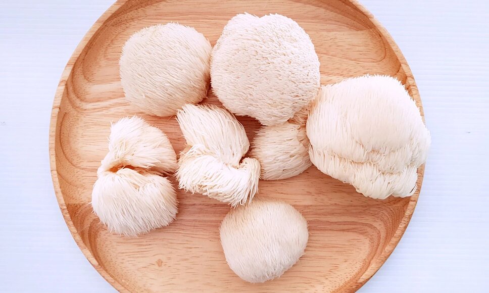 Hericium