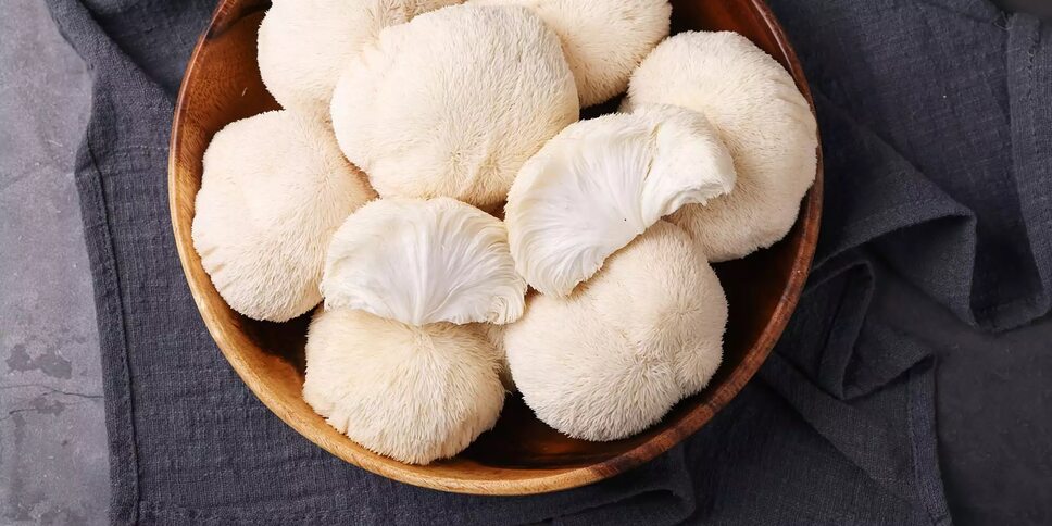 Hericium