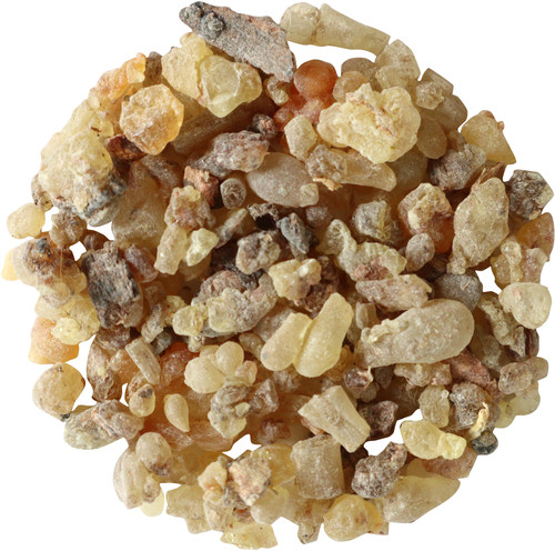 Boswellia