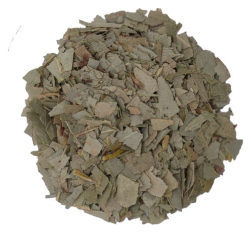 Eucalyptus gesneden
