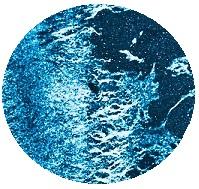 spirulina-blue-majik