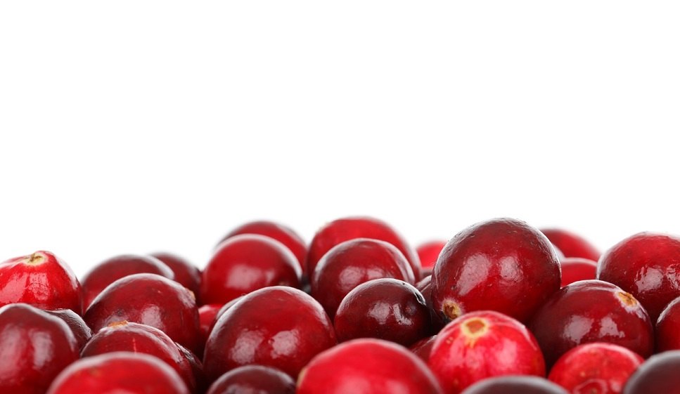 wat is cranberry?