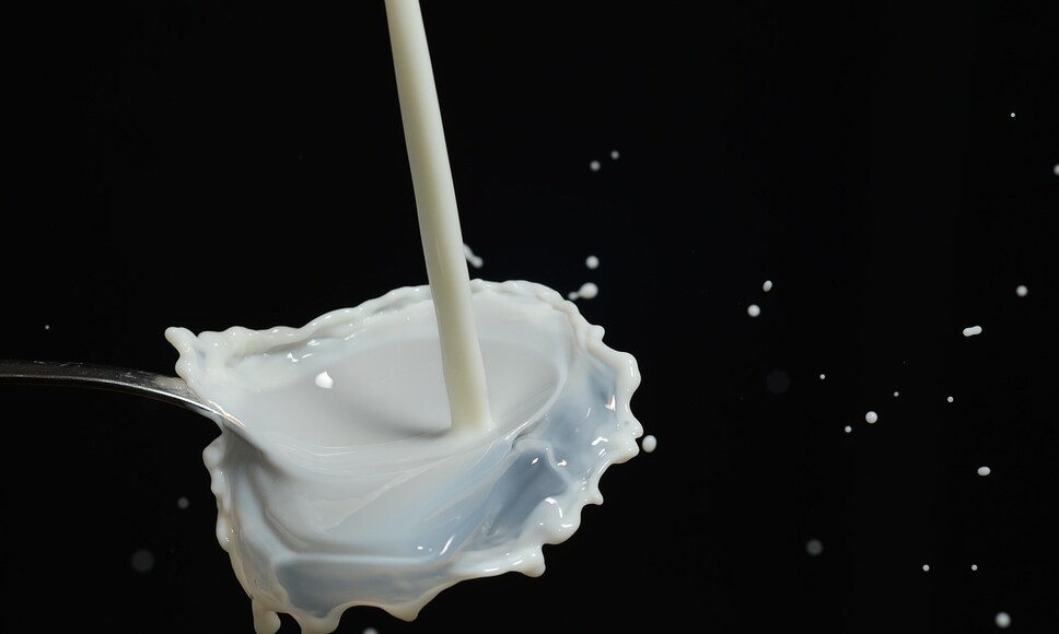 wat is lactoferrine?